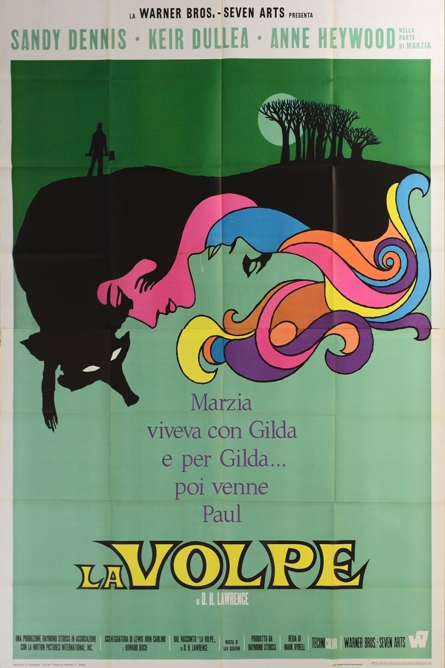 Locandina di La volpe
