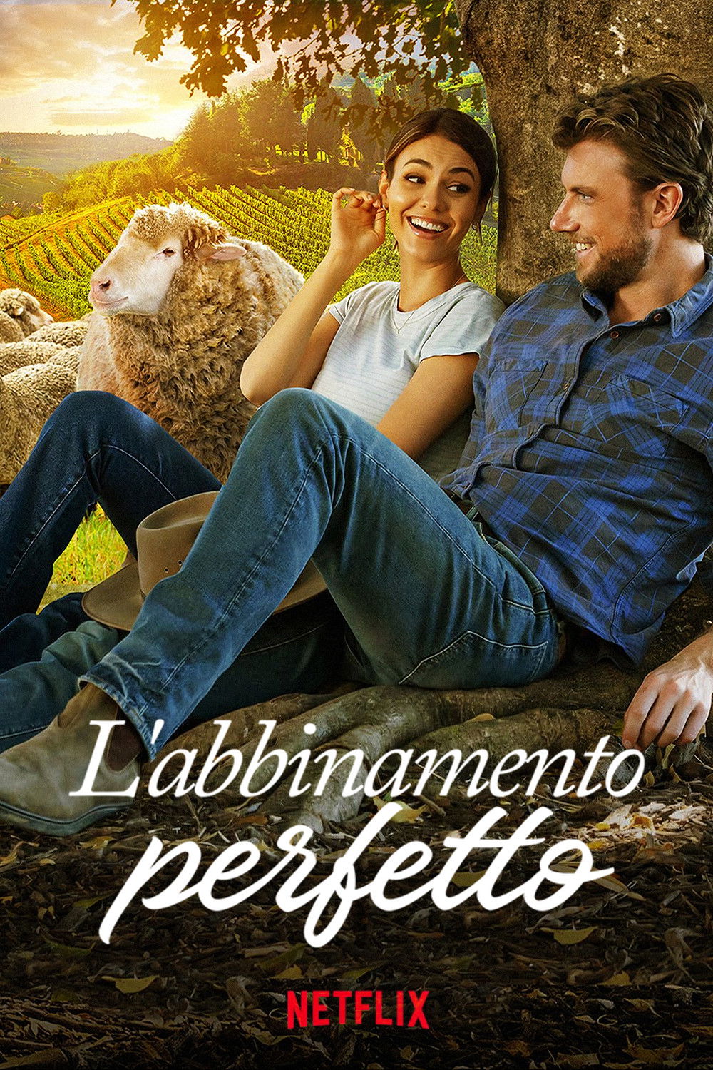 Locandina di L'abbinamento perfetto