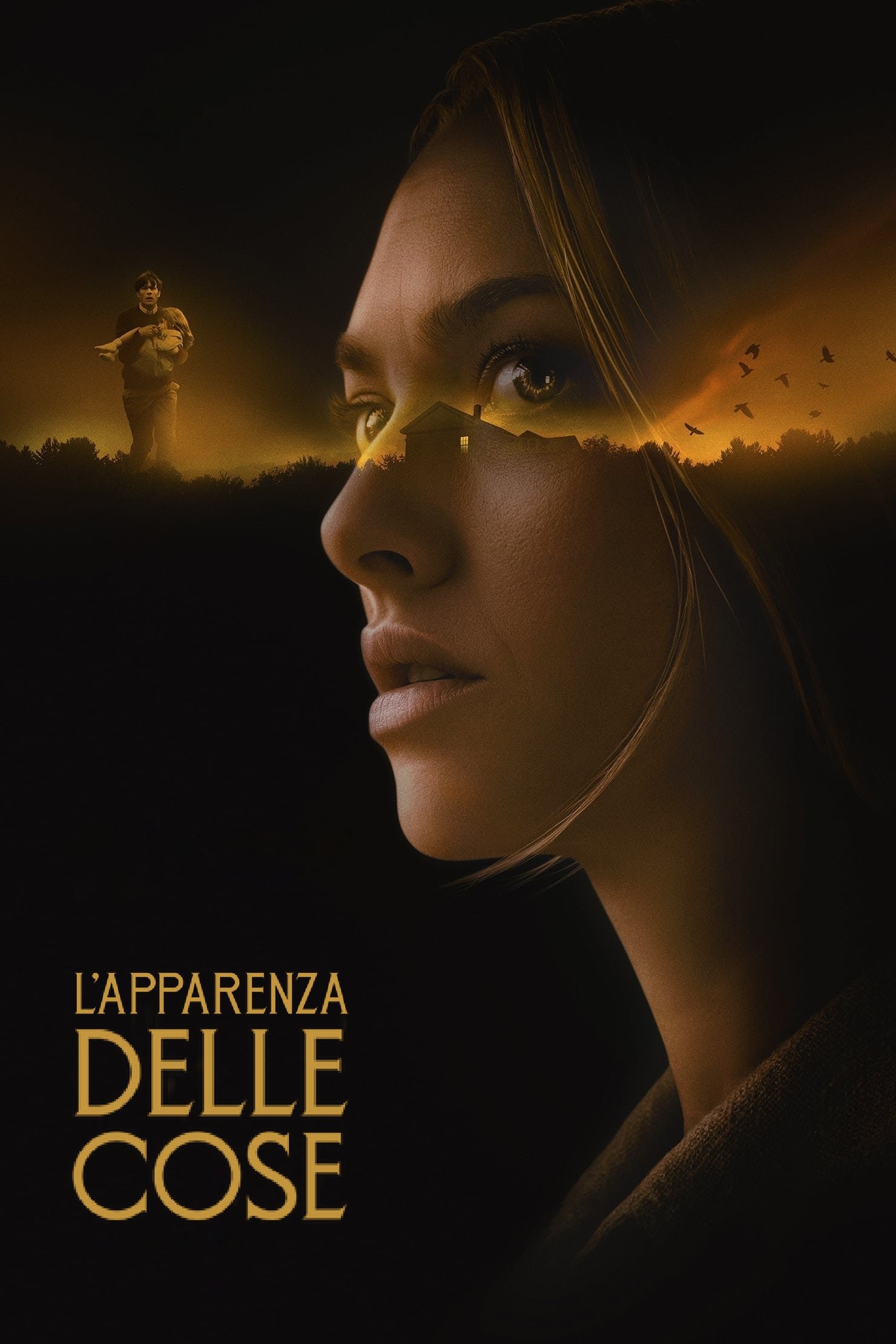 Locandina di L'apparenza delle cose