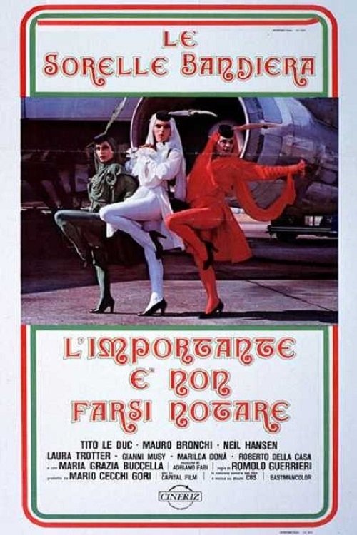 Locandina di L'importante è non farsi notare