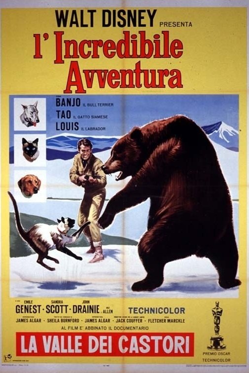 Locandina di L'incredibile avventura