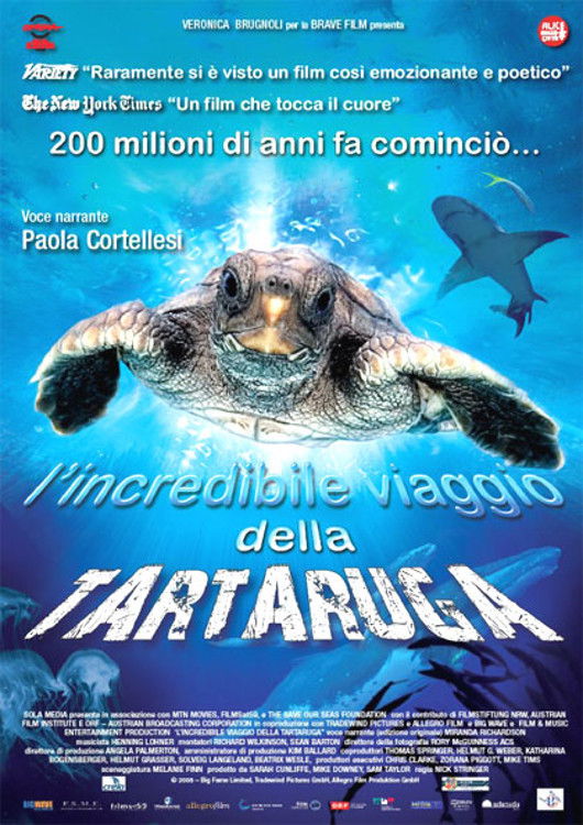 Locandina di L'incredibile viaggio della tartaruga