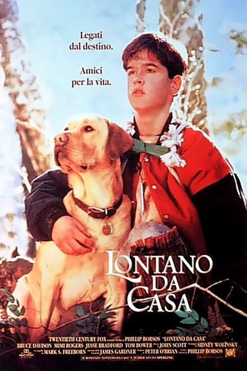 Locandina di Lontano da casa