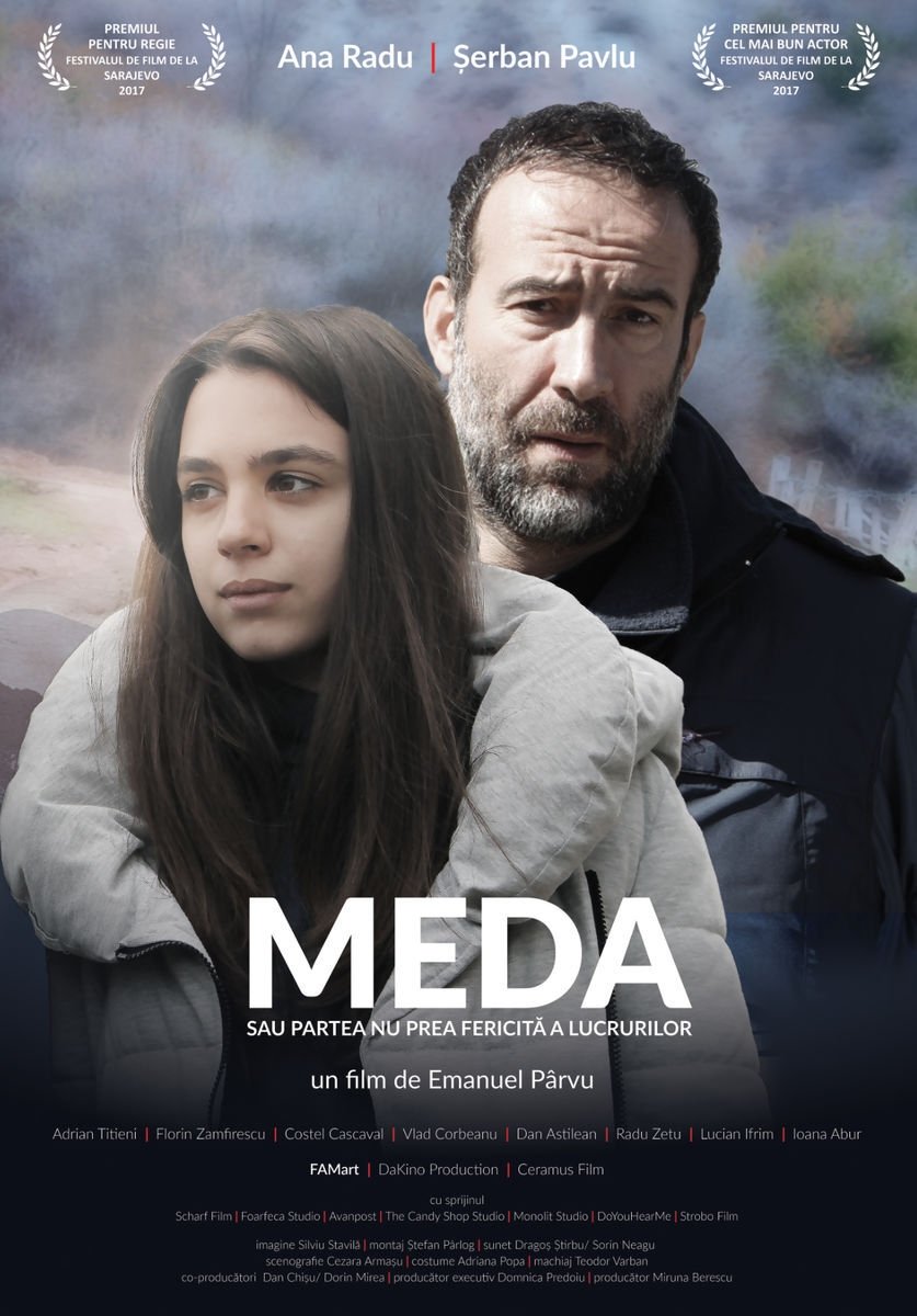 Locandina di Meda or The Not So Bright Side of Things