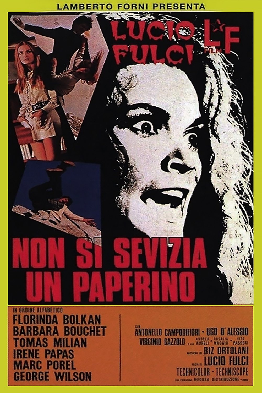 Locandina di Non si sevizia un paperino