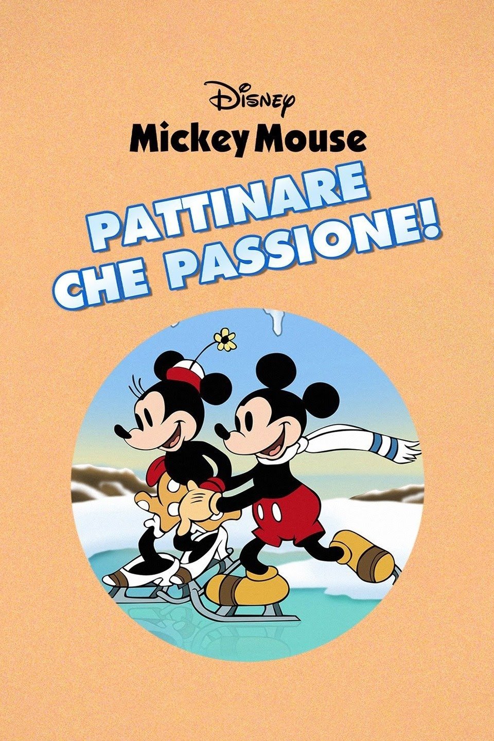 Locandina di Pattinare che passione