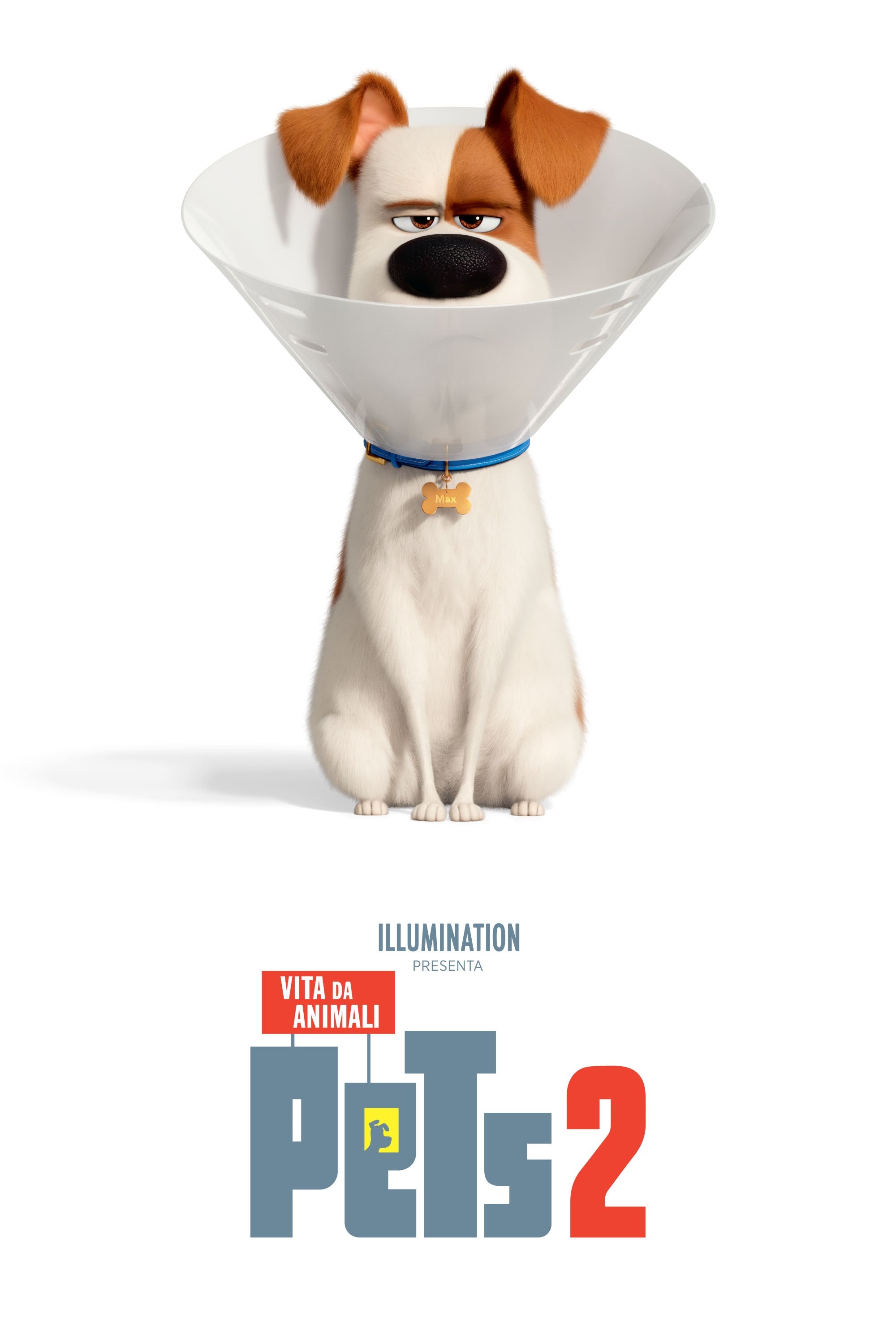 Locandina di Pets 2 - Vita da animali