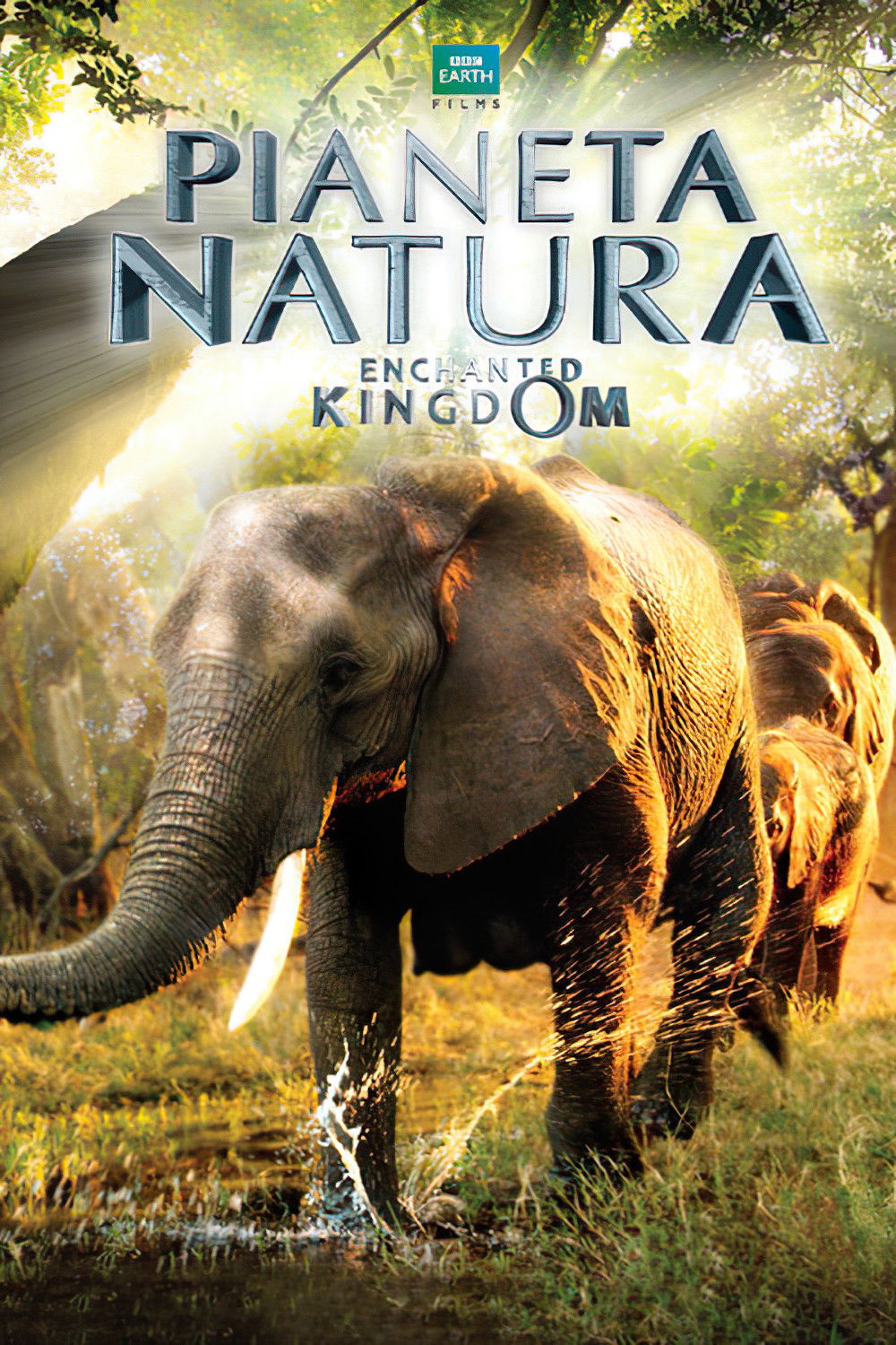 Locandina di Pianeta Natura - Enchanted Kingdom