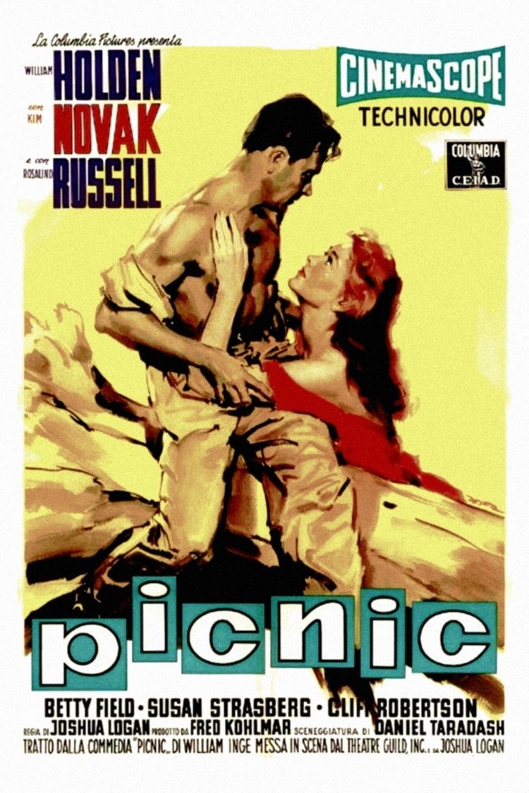 Locandina di Picnic