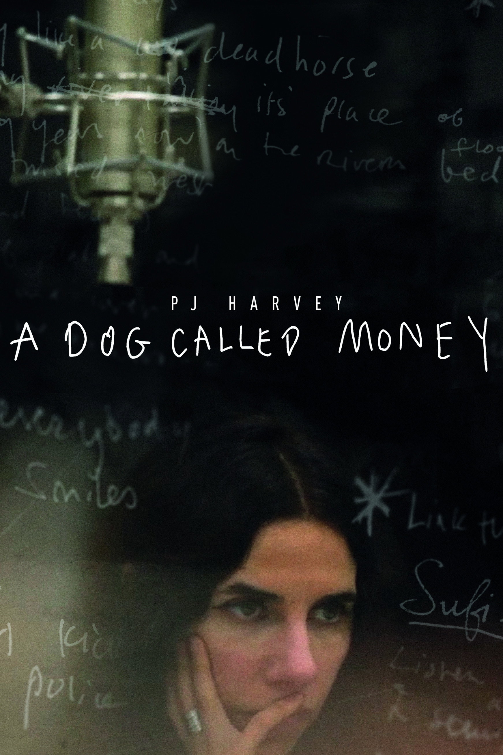 Locandina di PJ Harvey - A Dog Called Money