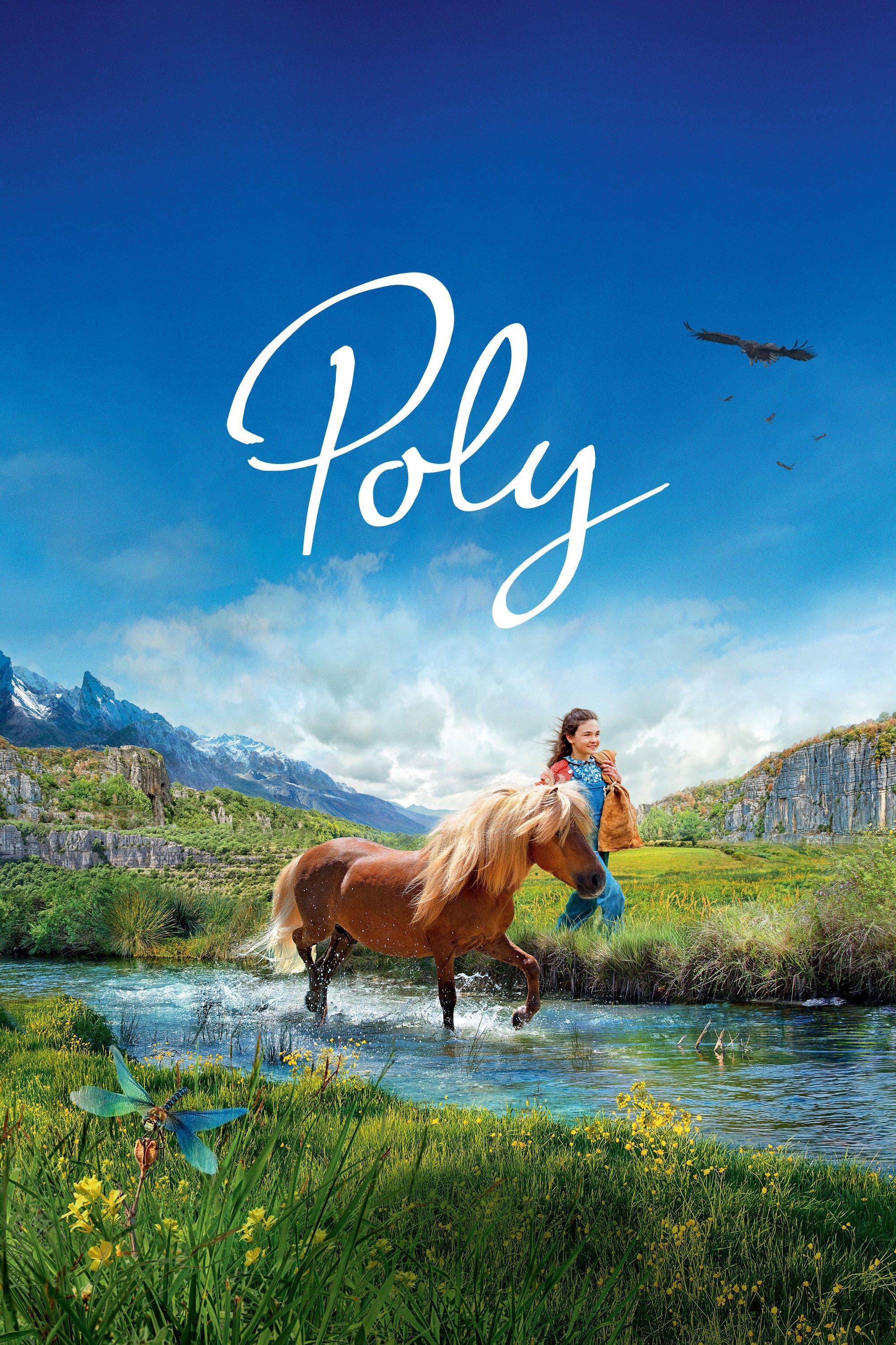 Locandina di Poly