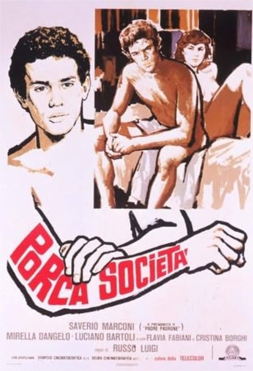 Locandina di Porca società