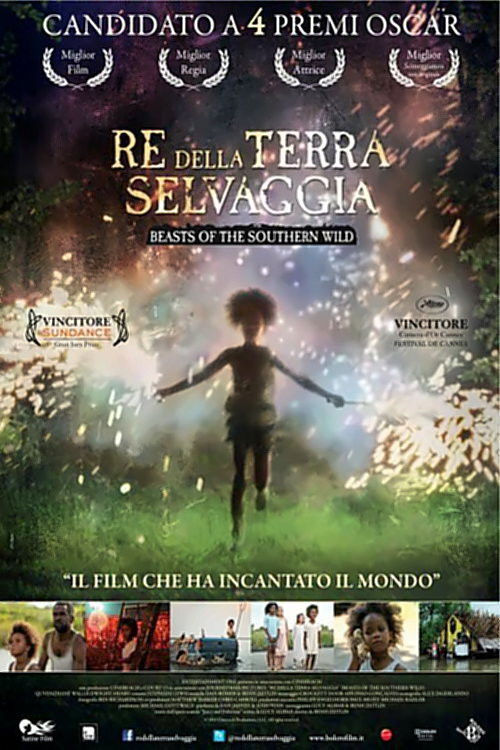 Locandina di Re della terra selvaggia