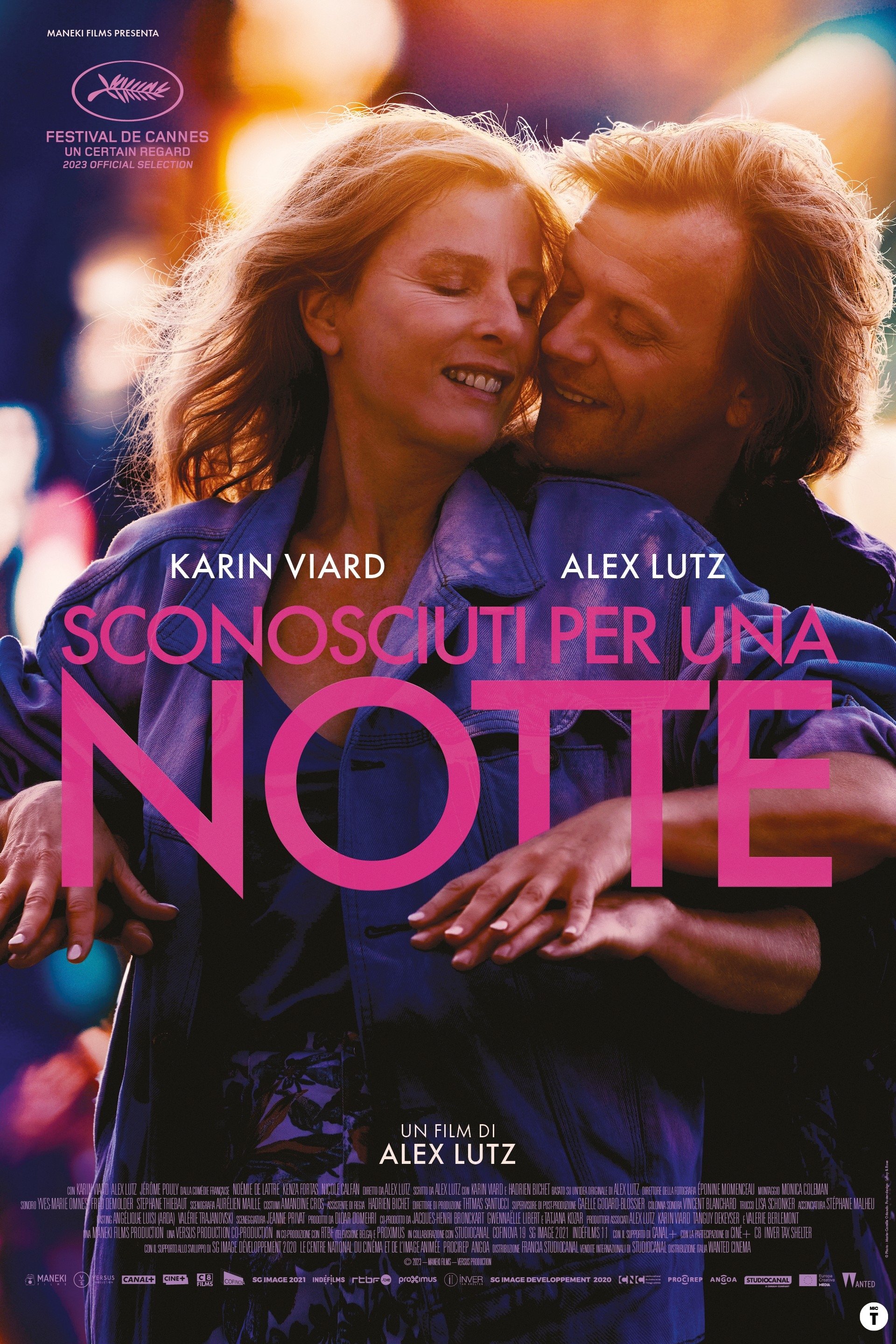 Locandina di Sconosciuti per una notte