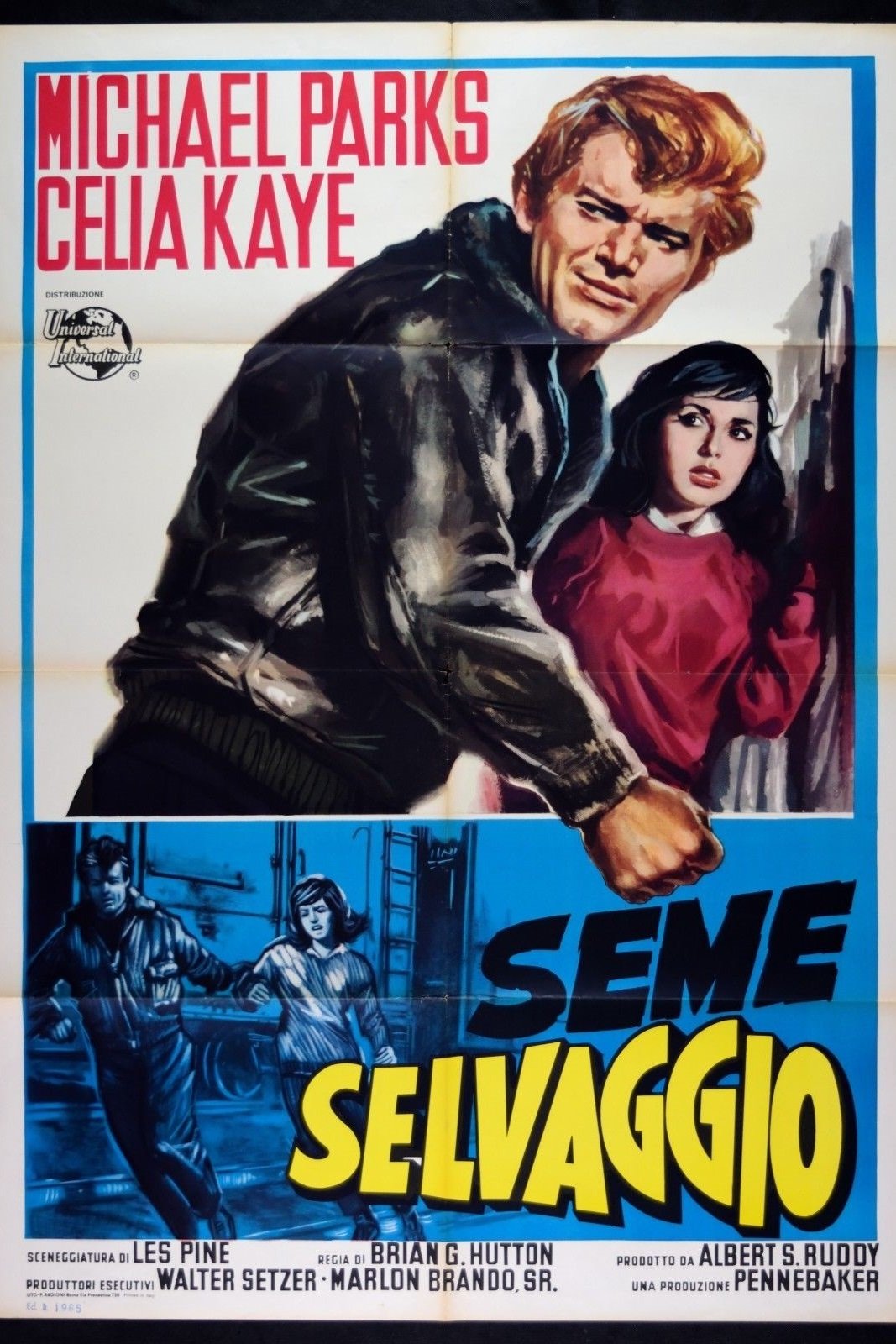 Locandina di Seme selvaggio