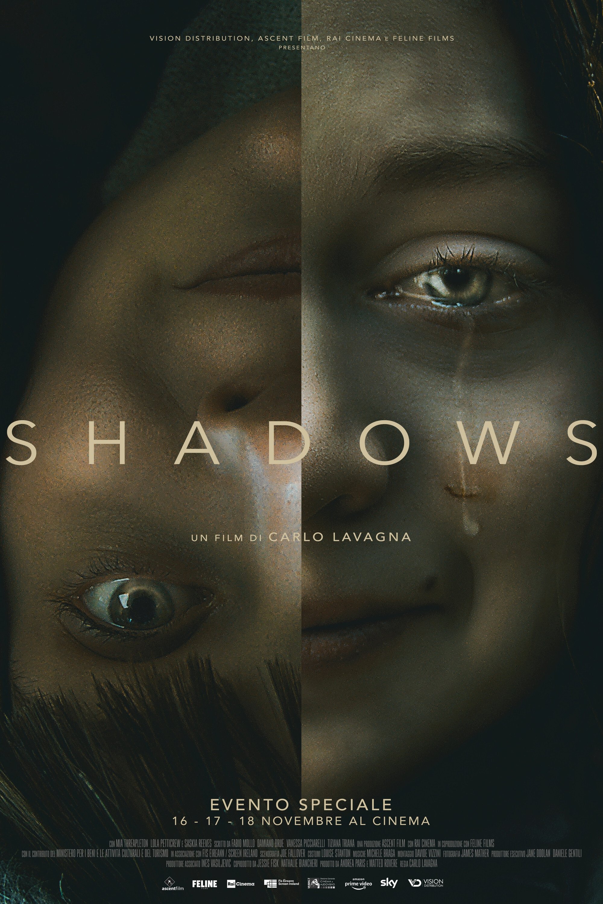 Locandina di Shadows - Ombre