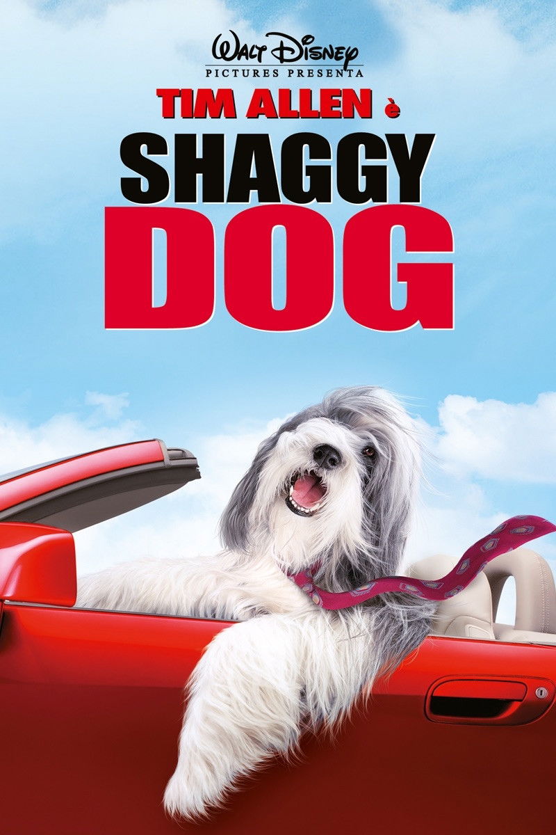 Locandina di Shaggy Dog - Papà che abbaia non morde