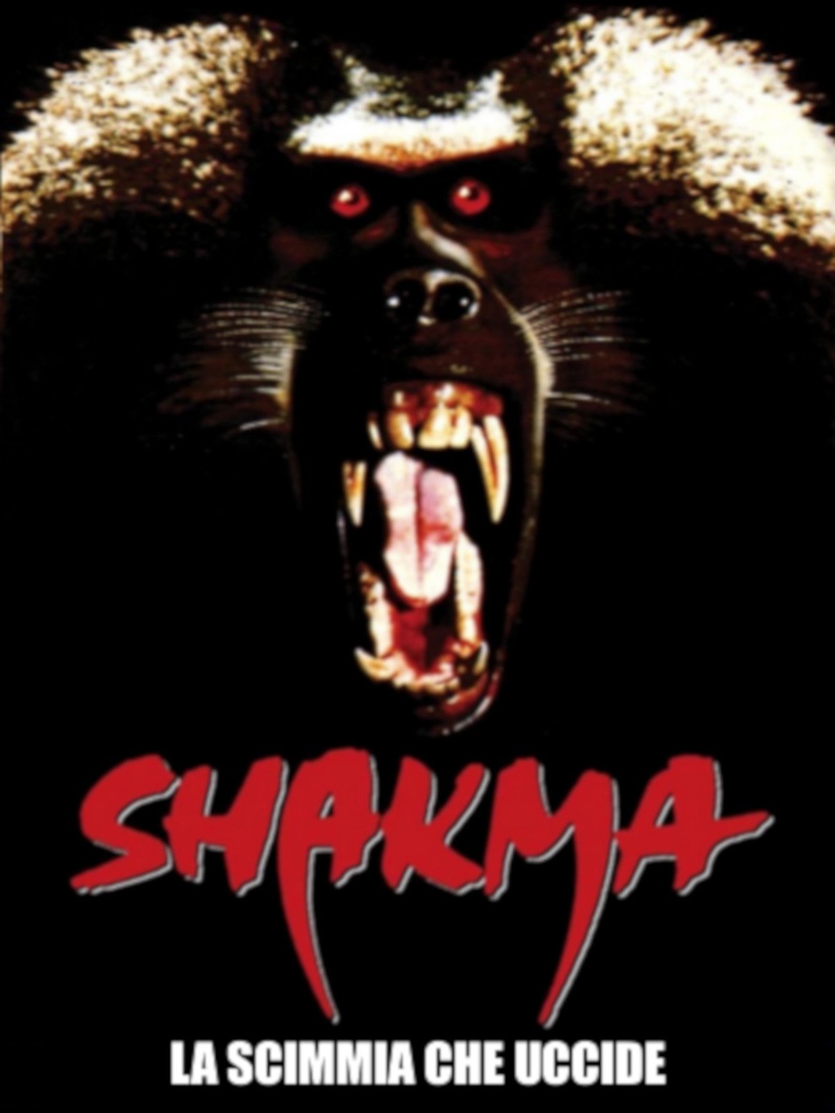 Locandina di Shakma - La scimmia che uccide