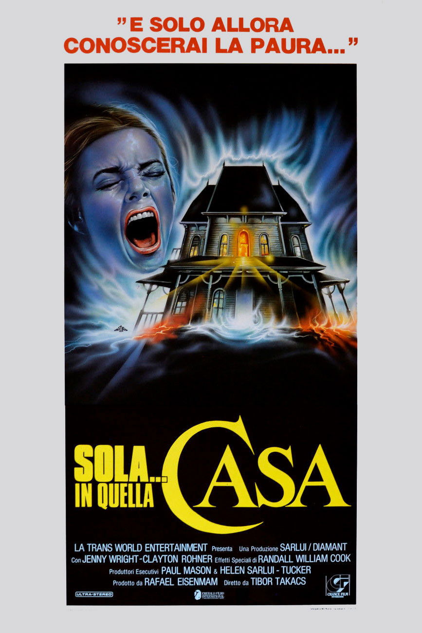 Locandina di Sola... in quella casa