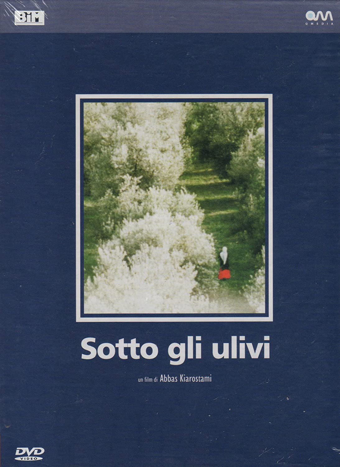 Locandina di Sotto gli ulivi