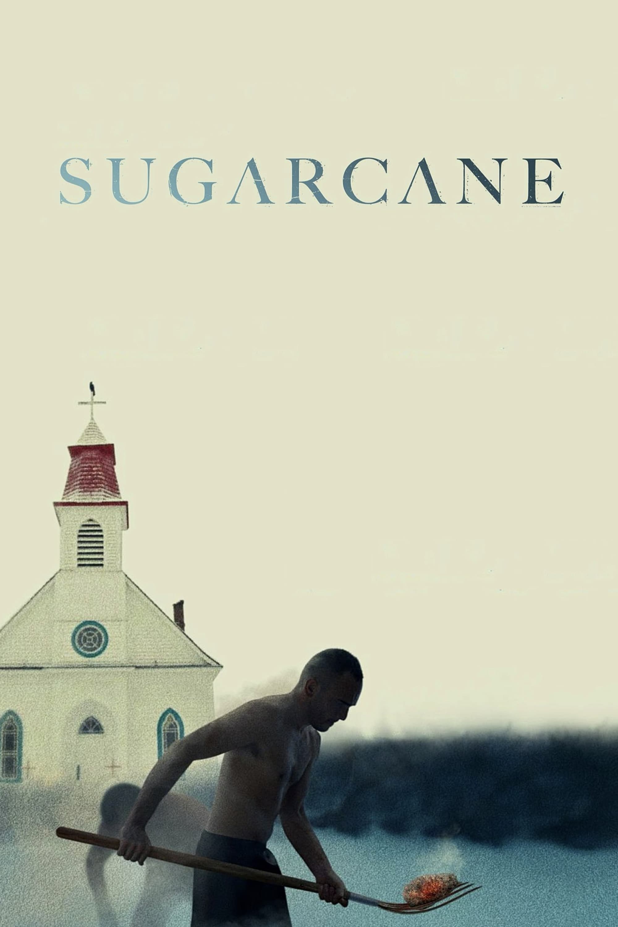 Locandina di Sugarcane