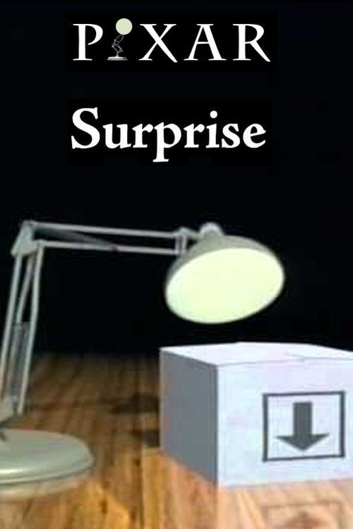 Locandina di Surprise