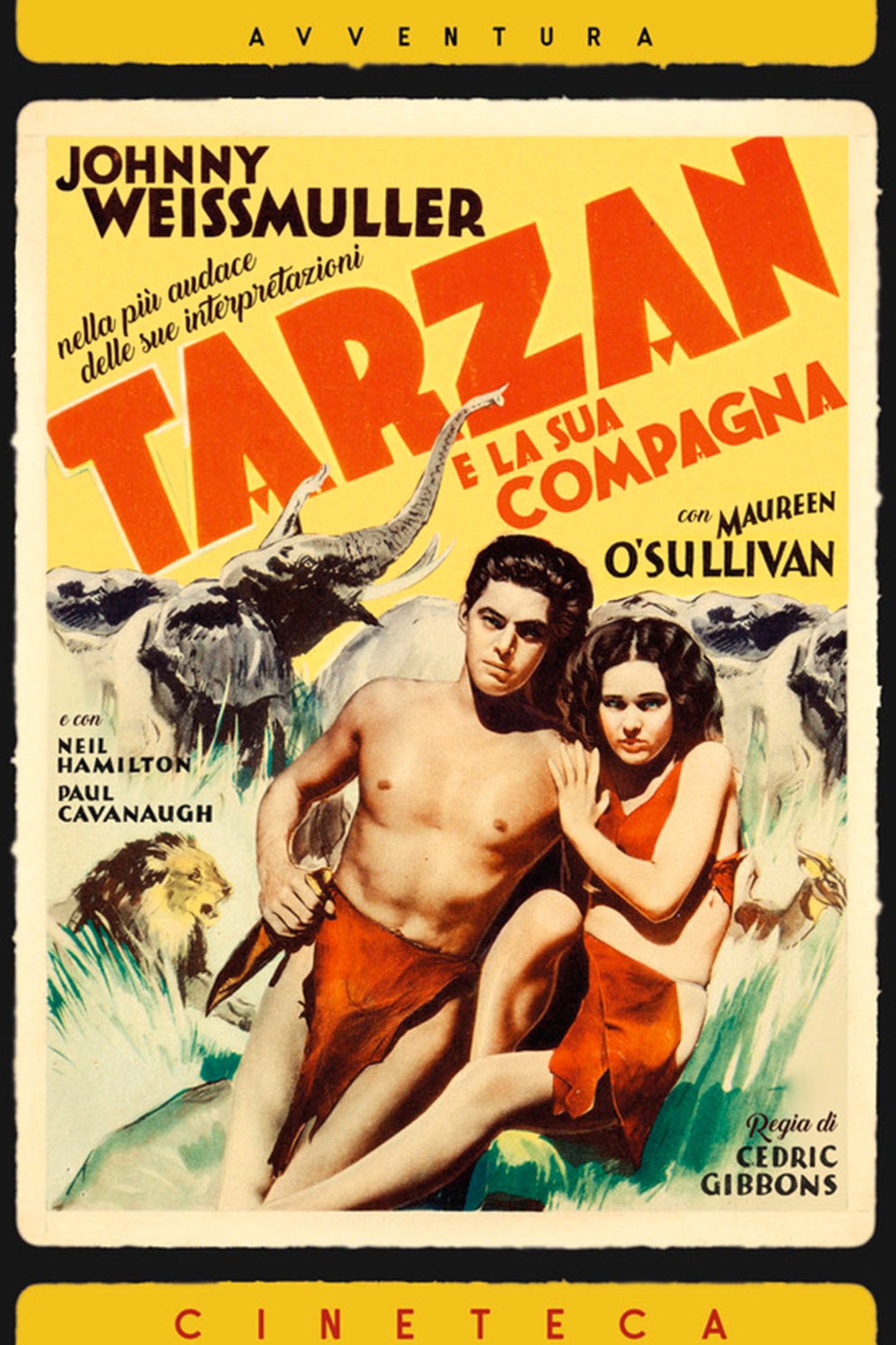 Locandina di Tarzan e la compagna