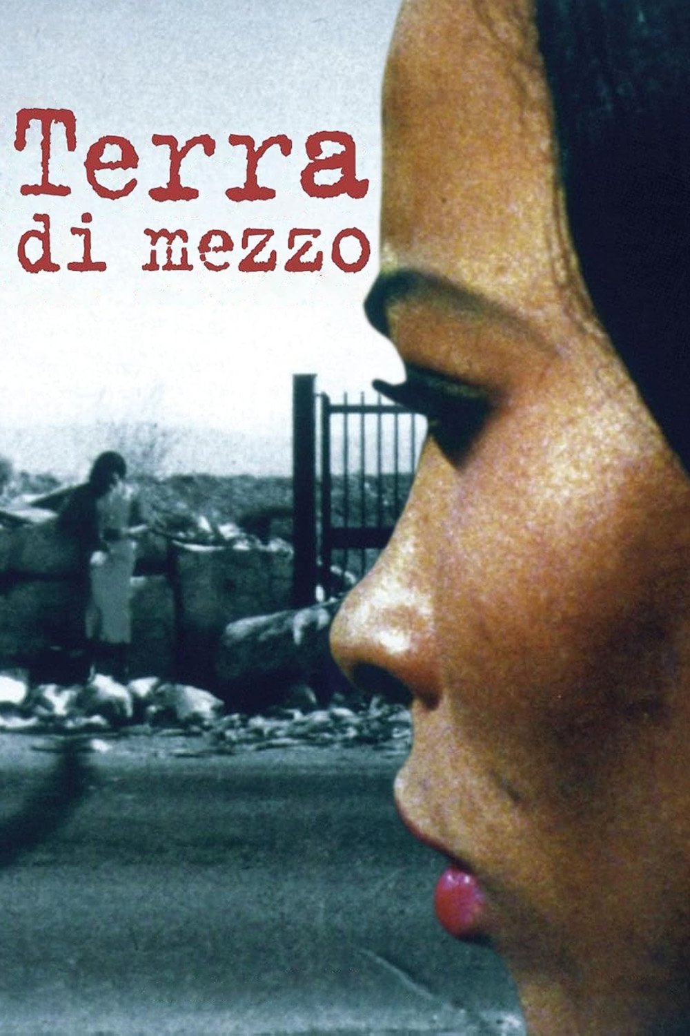 Locandina di Terra di mezzo