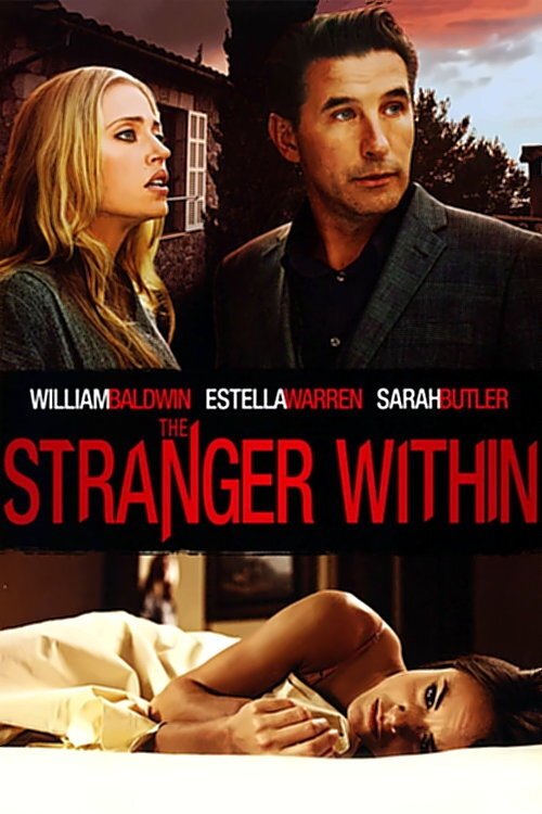 Locandina di The Stranger Within - L'Inganno