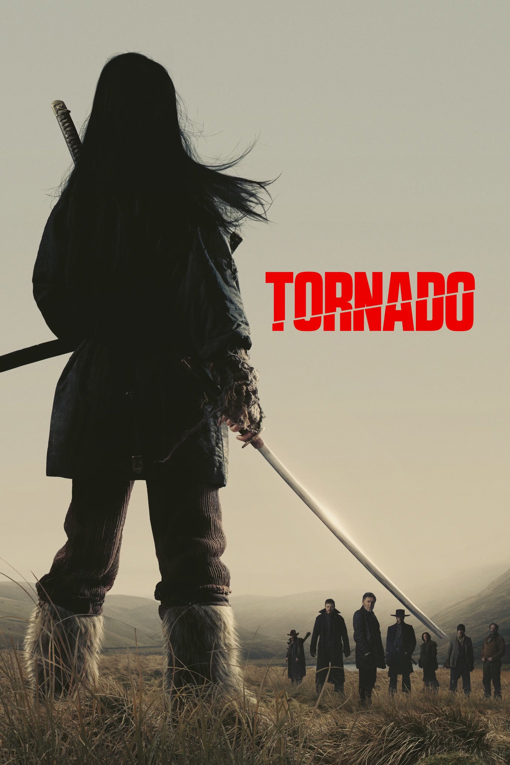Locandina di Tornado