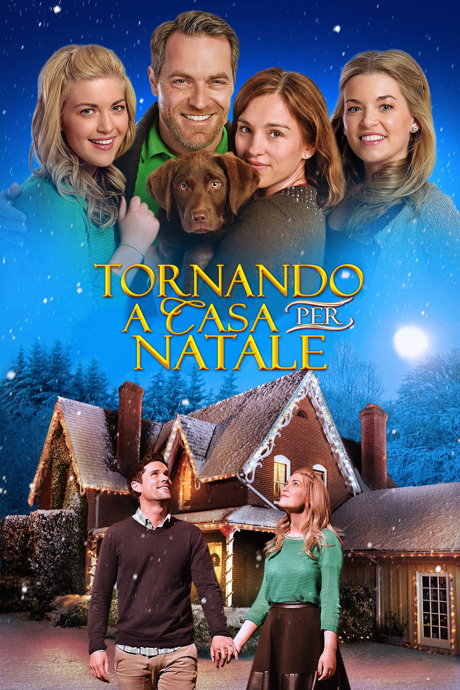 Locandina di Tornando a casa per Natale