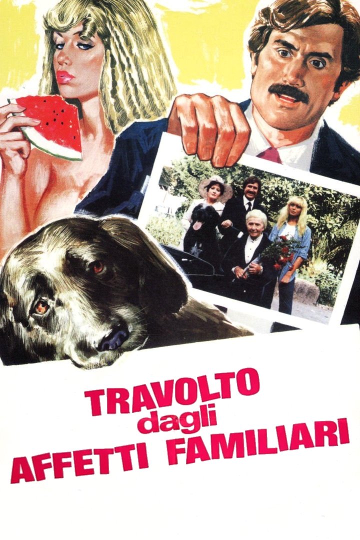 Locandina di Travolto dagli affetti familiari