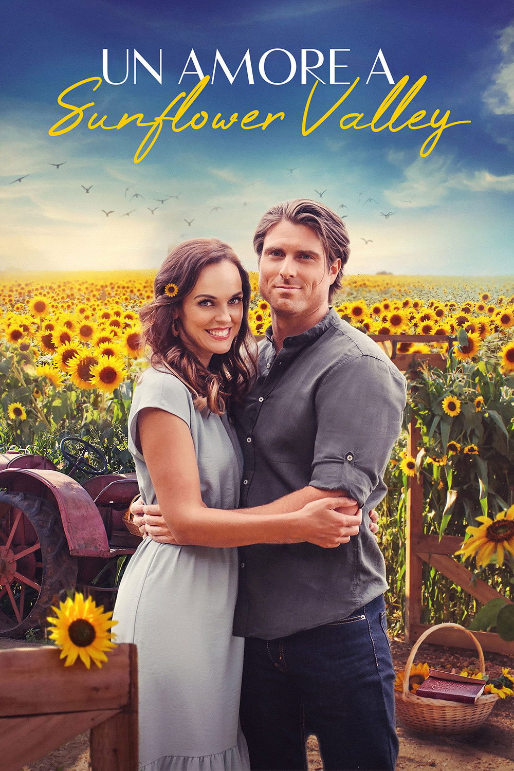 Locandina di Un amore a Sunflower Valley