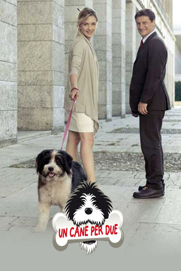 Locandina di Un cane per due