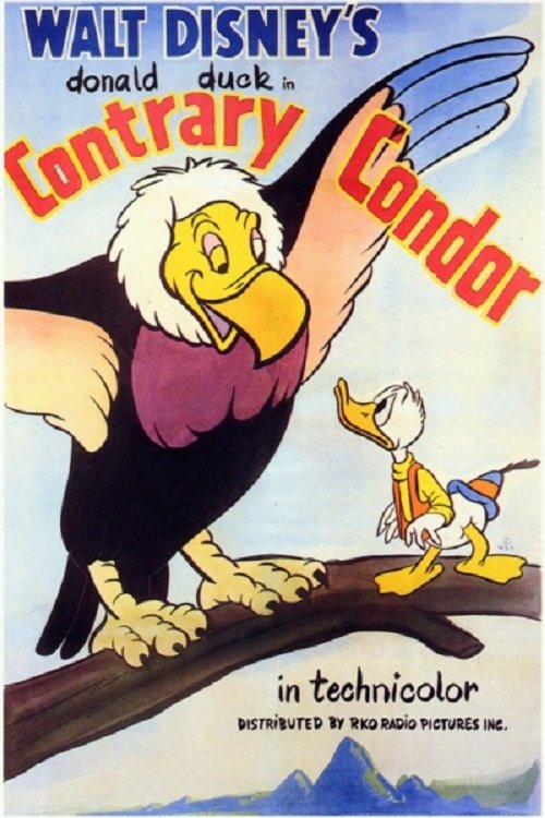 Locandina di Un condor per amico