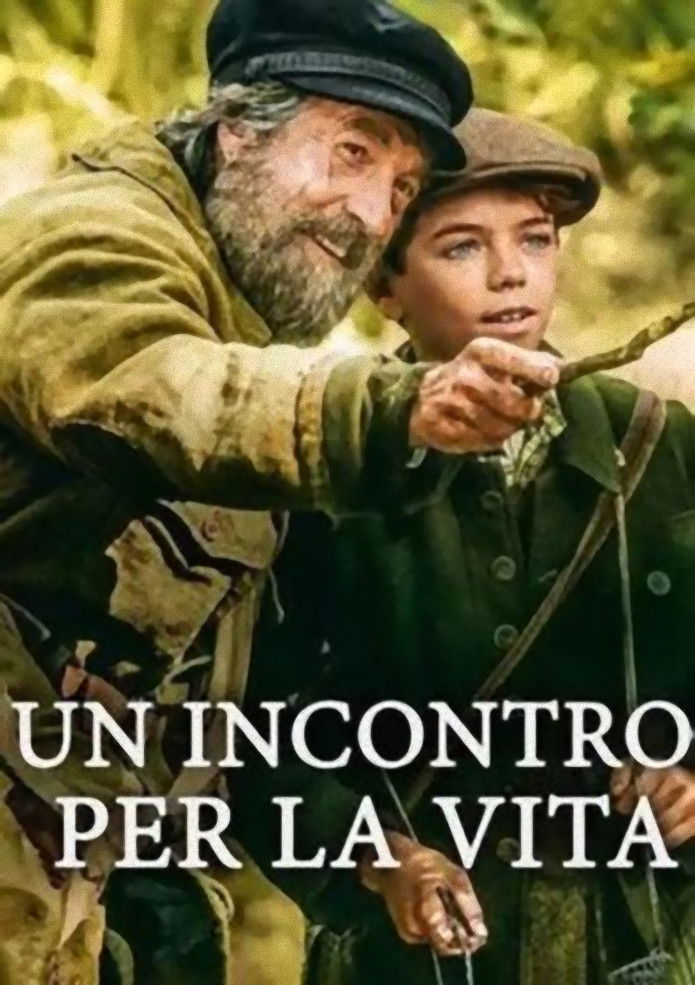 Locandina di Un incontro per la vita