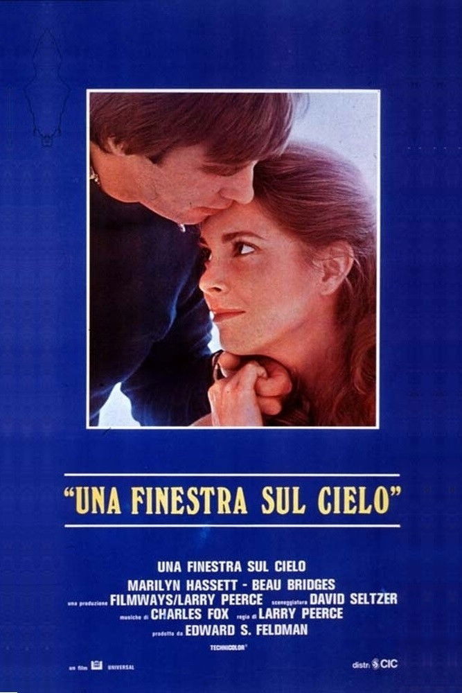 Locandina di Una finestra sul cielo
