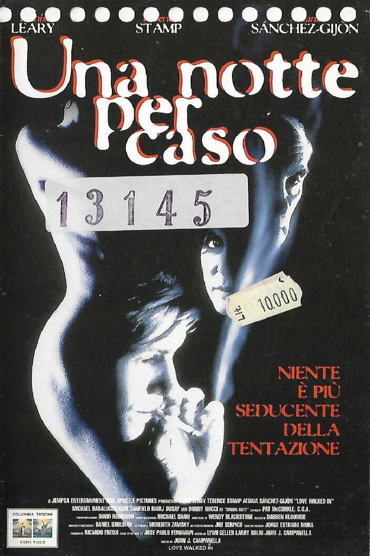 Locandina di Una notte per caso