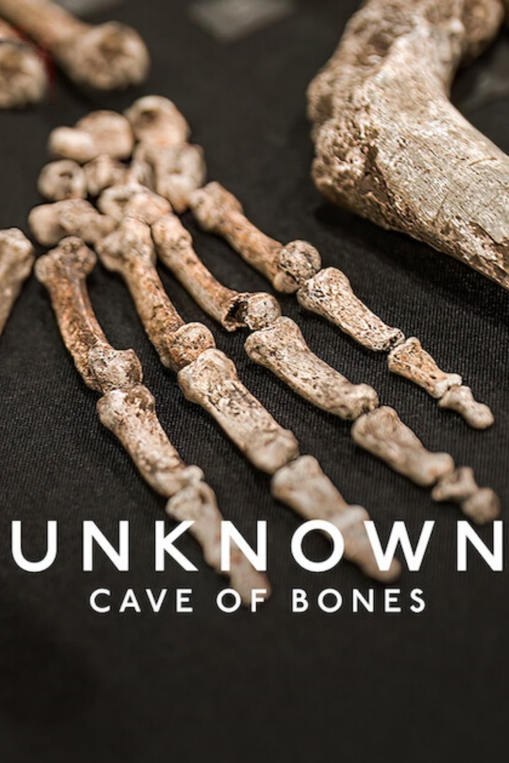 Locandina di Unknown: La grotta della scoperta