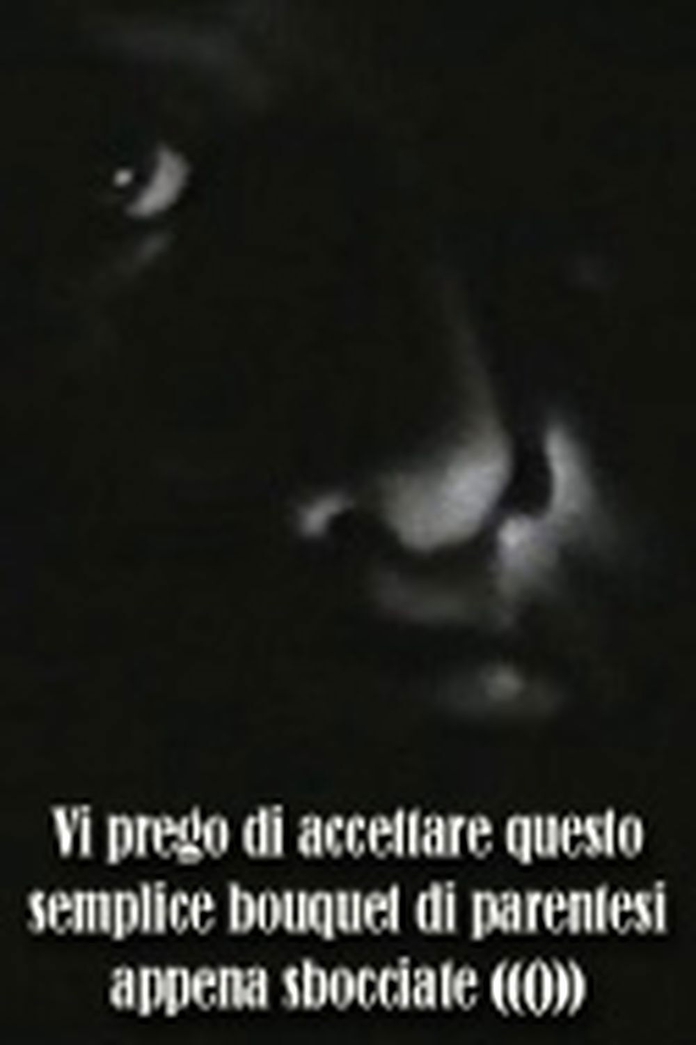 Locandina di Vi prego di accettare questo semplice bouquet di parentesi appena sbocciate