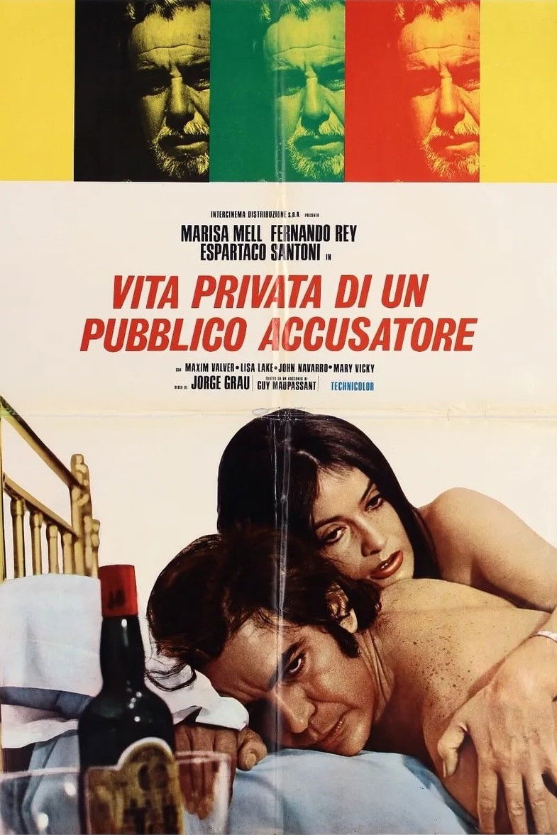 Locandina di Vita privata di un pubblico accusatore