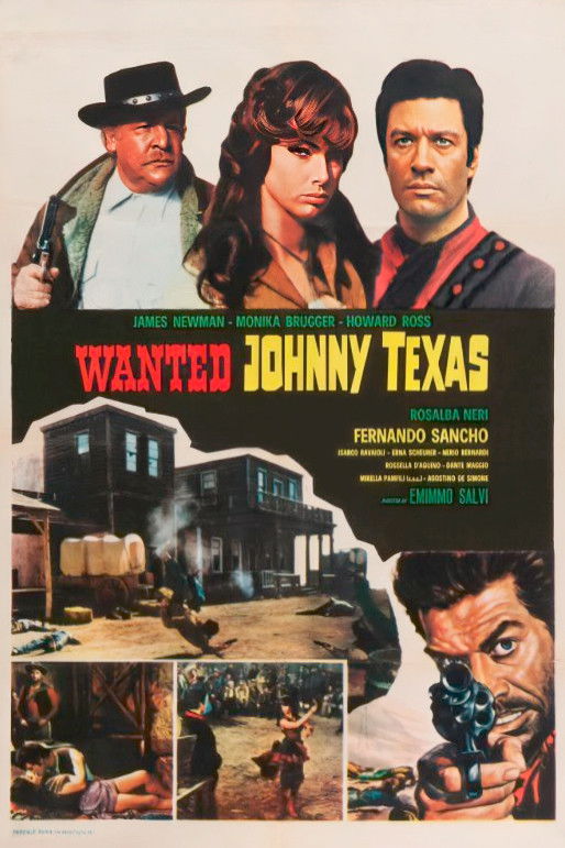 Locandina di Wanted Johnny Texas