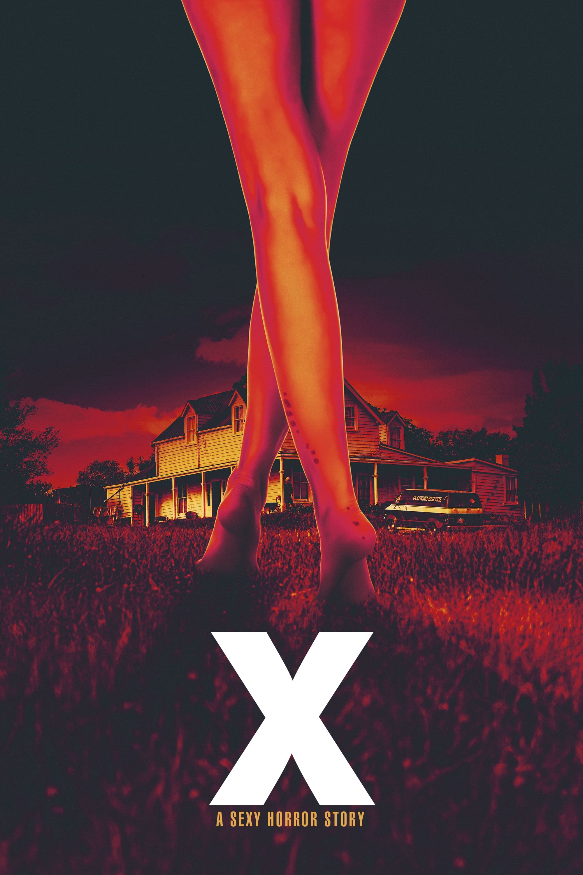 Locandina di X - A Sexy Horror Story