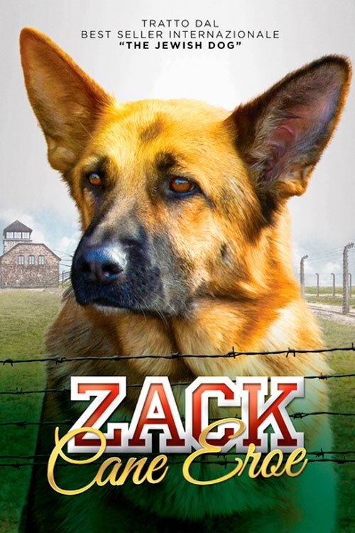 Locandina di Zack, cane eroe