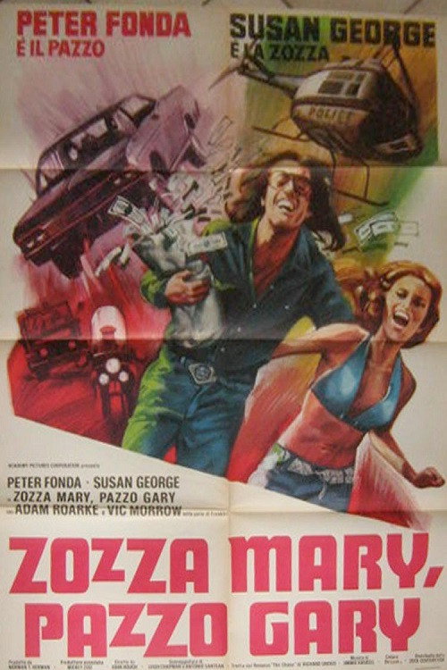 Locandina di Zozza Mary, pazzo Gary